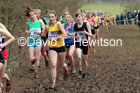 Womens under-17s, 2020 British Athletics Inter Counties Cross Country Champs., Prestwold Hall, Loughborough. Photo: David T. Hewitson/Sports for All Pics